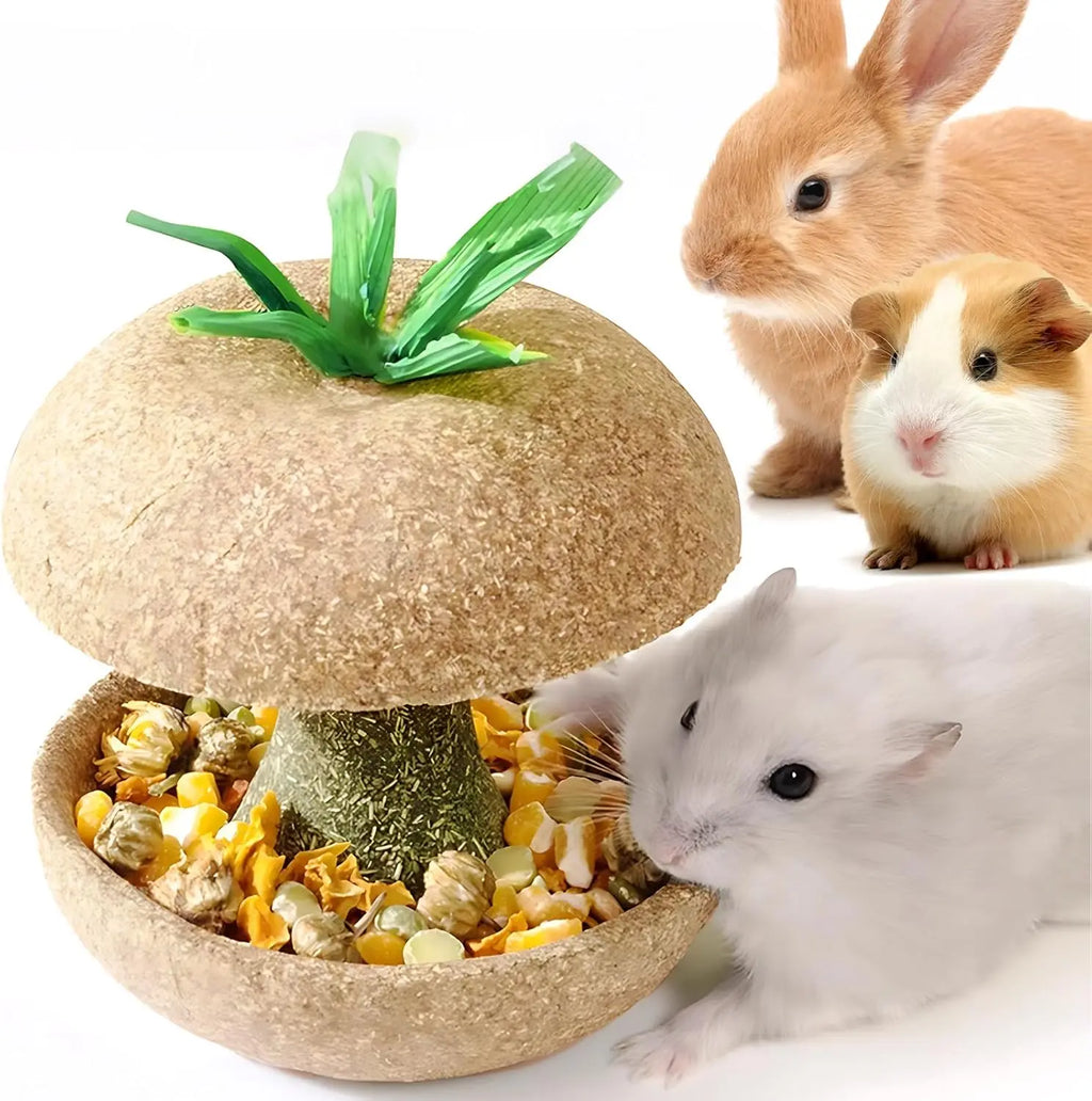 Apple Core Shaped Hamster, Guinea Pig, Rabbit, Chinchilla, Rat- Chew Toy