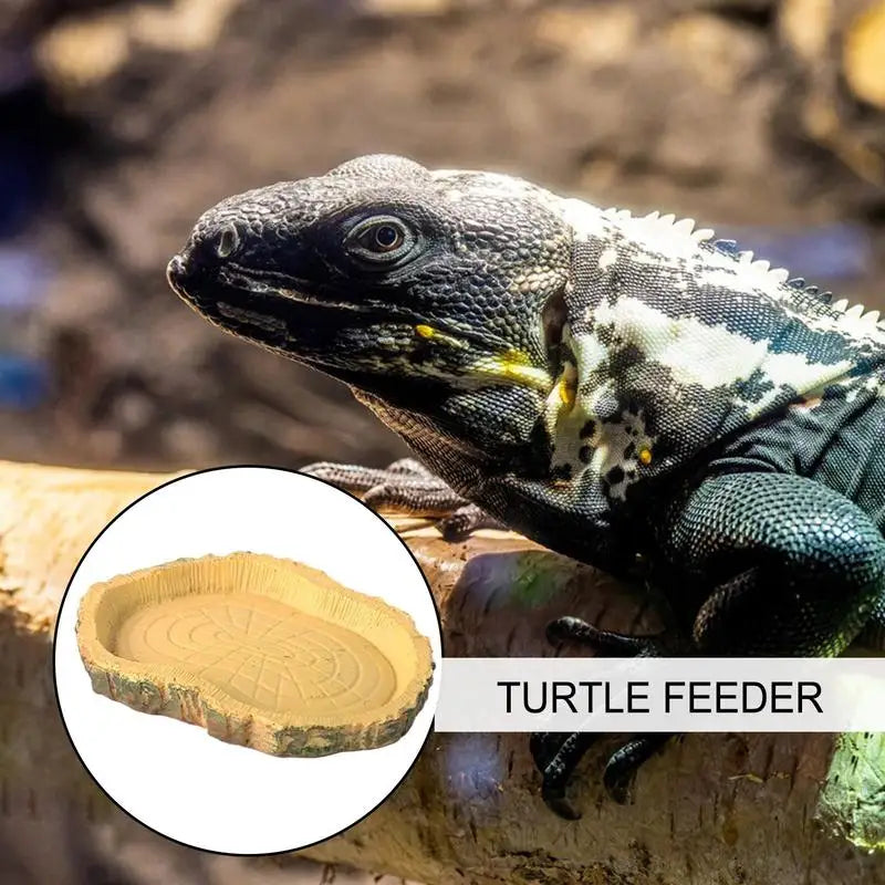 Feeding Dishes Shallow And Flat Reptile Feeding Bowl