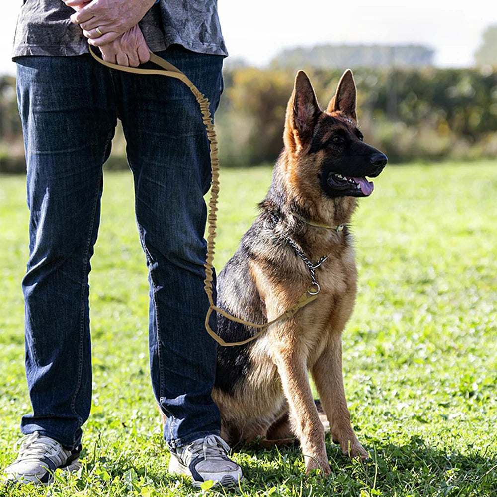 Military Leashes , Adjustable Leash , Quick Release,  Elastic Rope