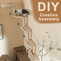 Wall Mounted  Shelve for Sleeping Playing Cat Furniture