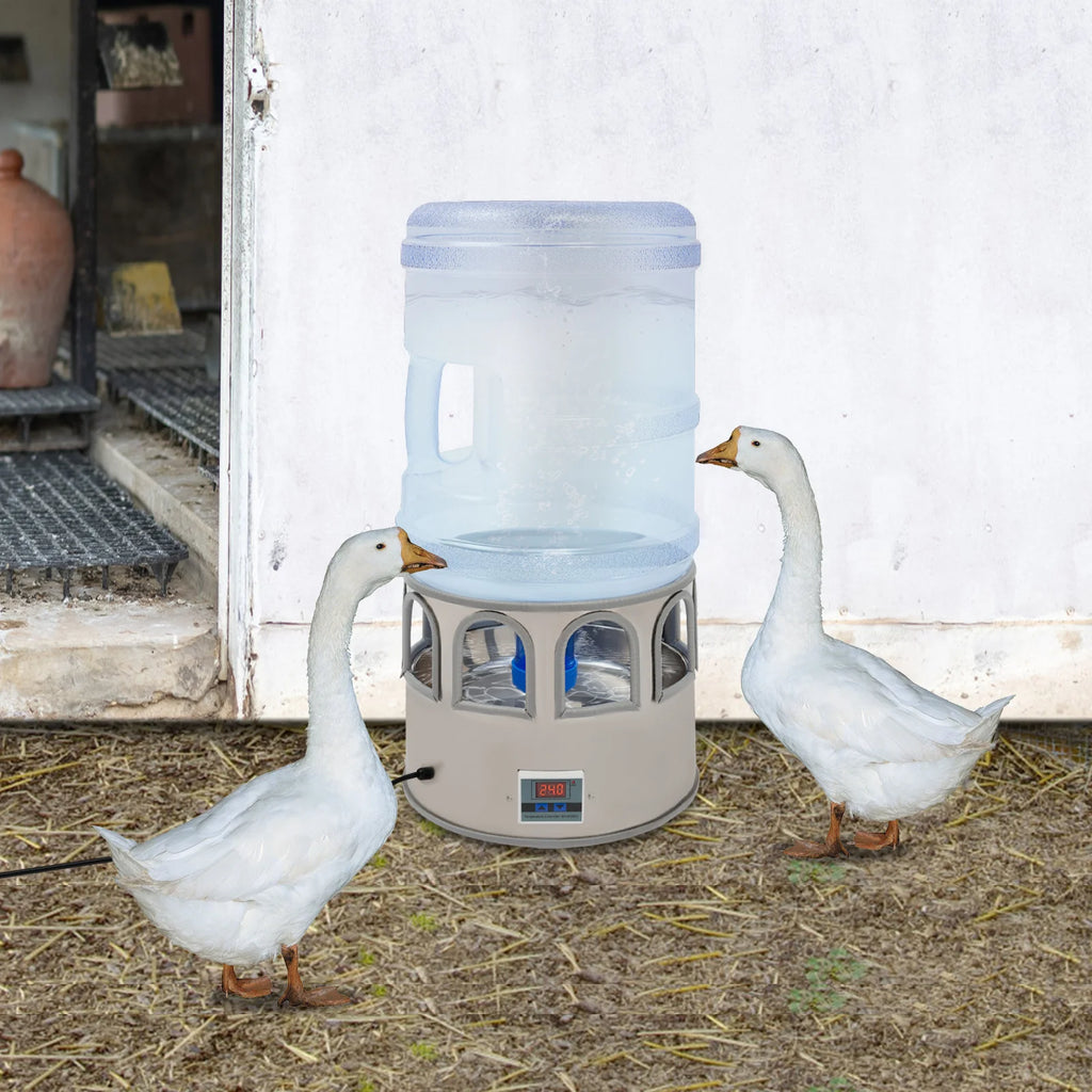 Chicken Water Heater Bowl,